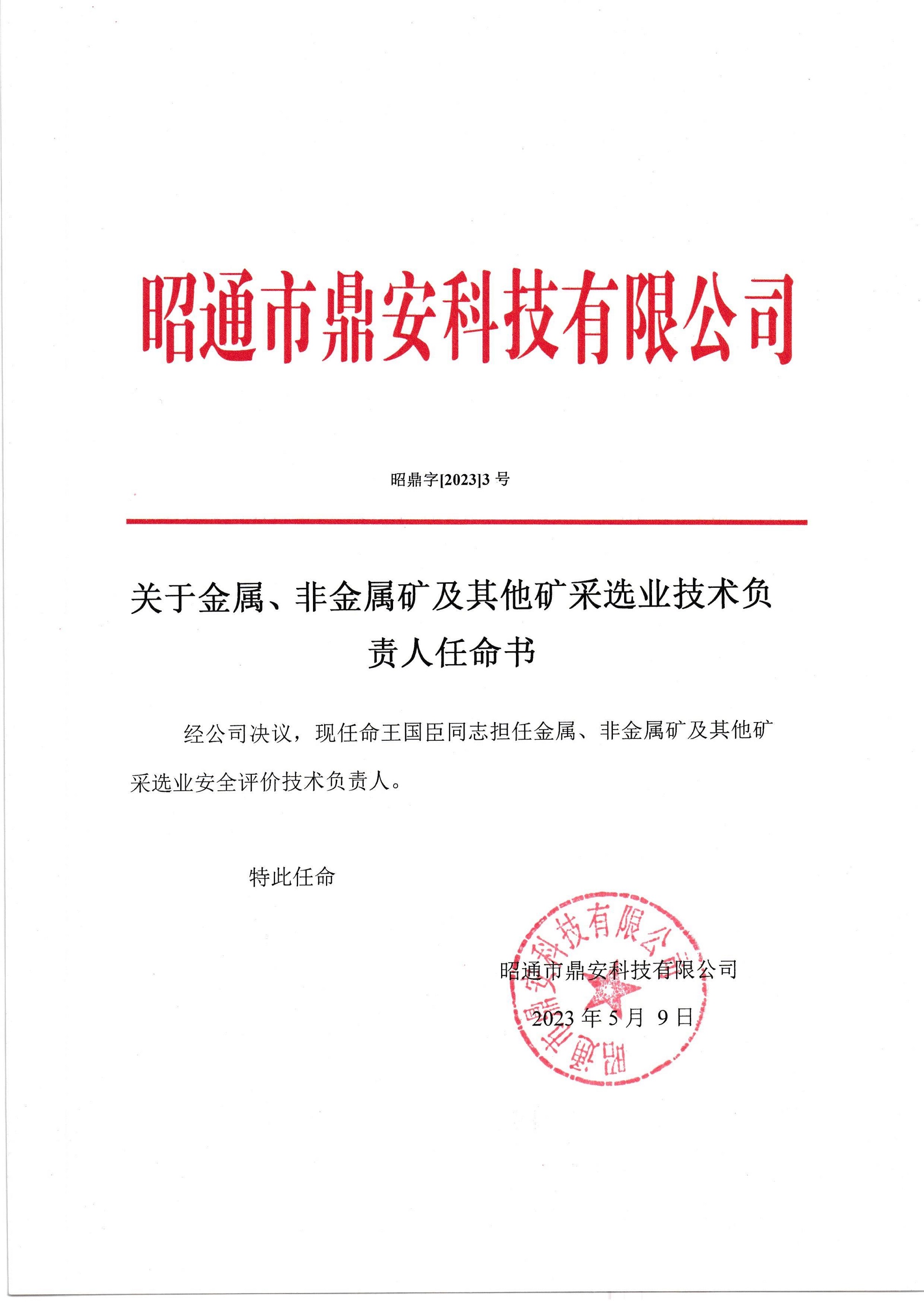 關于金屬、非金屬礦及其他礦采選業技術負責人任命書-王國臣_2.jpg